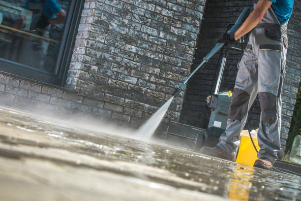 Best House Exterior Washing  in Paxton, IL