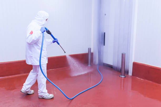 Best Restaurant Pressure Washing  in Paxton, IL