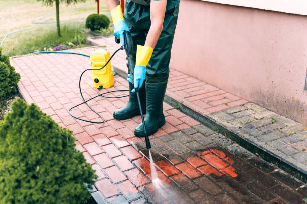 Animal Enclosure Cleaning in Paxton, IL