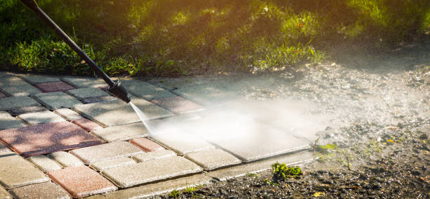 Solar Panel Cleaning in Paxton, IL